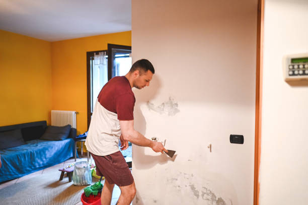 Best Mold Remediation for Specific Building Types in Graysville, AL
